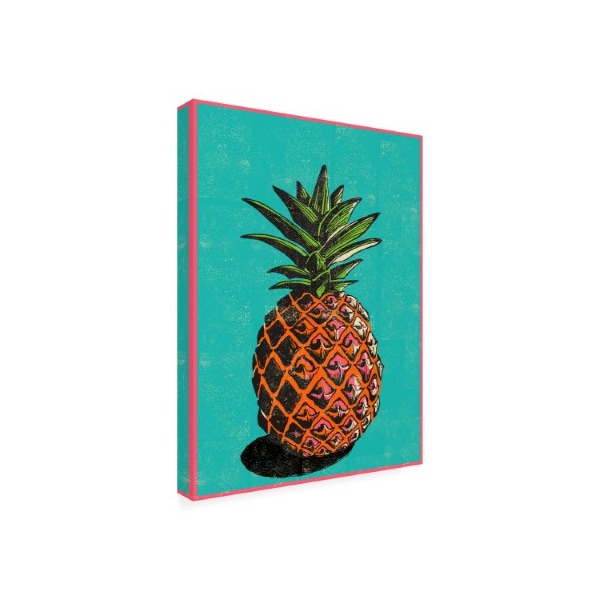 Jill White 'Pineapple Illustration' Canvas Art,18x24